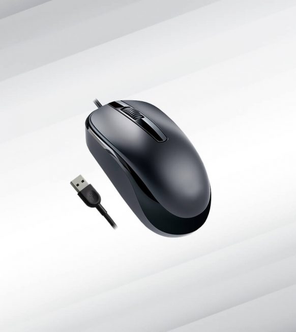 Computer Mouse (USB, Optical, Scroll)